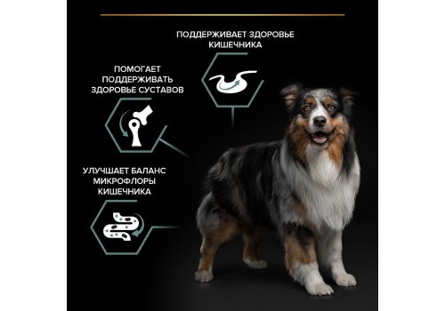 PRO PLAN OPTI DIGEST / Сухой корм ПРО ПЛАН для взрослых собак средних пород при чувствительном пищеварении с ягненком