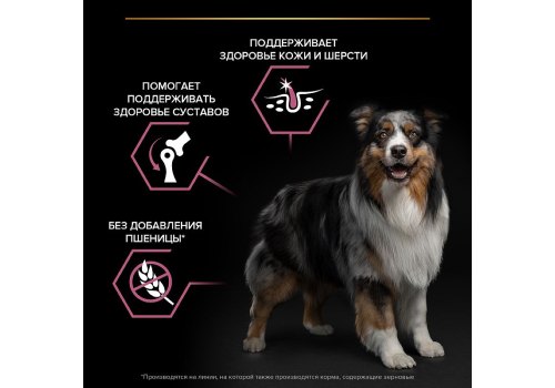 PRO PLAN OPTI DERMA / Сухой корм ПРО ПЛАН для взрослых собак средних пород при чувствительной коже с лососем