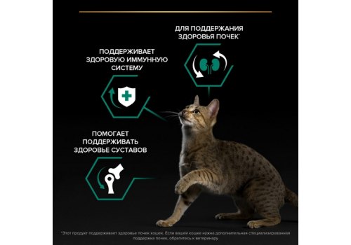 PRO PLAN RENAL PLUS / Сухой корм ПРО ПЛАН для взрослых кошек для поддержания здоровья почек с курицей