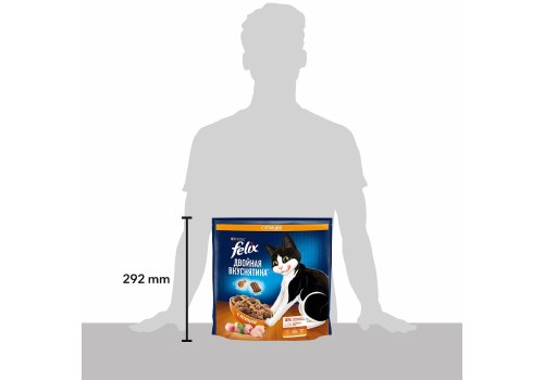 FELIX ДВОЙНАЯ ВКУСНЯТИНА / Сухой корм Пурина Феликс для взрослых кошек с птицей