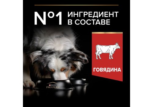 PRO PLAN DUO DELICE / Сухой корм ПРО ПЛАН для взрослых собак средних и крупных пород с говядиной