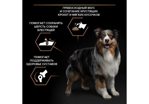 PRO PLAN DUO DELICE / Сухой корм ПРО ПЛАН для взрослых собак средних и крупных пород с говядиной