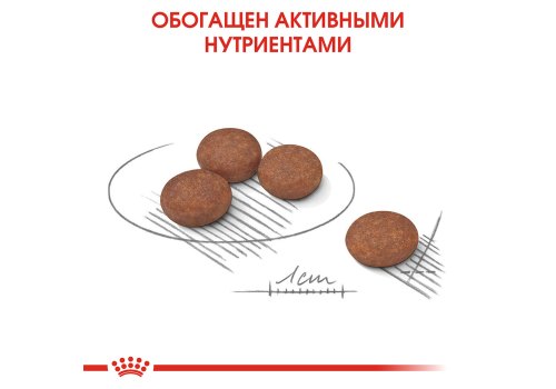 Royal Canin Mini Sensible Digestive Care / Сухой корм Роял Канин Мини Сенсибл для собак Мелких пород с Чувствительным пищеварением