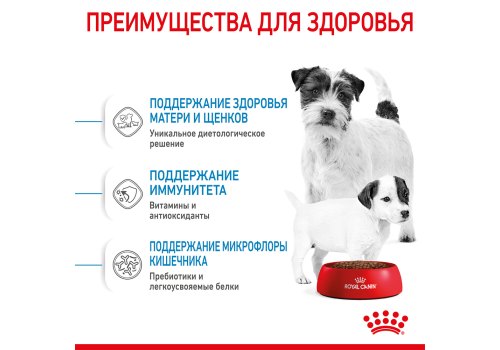 Royal Canin Mini Starter / Сухой корм Роял Канин Мини Стартер для Щенков Мелких пород в возрасте до 2 месяцев