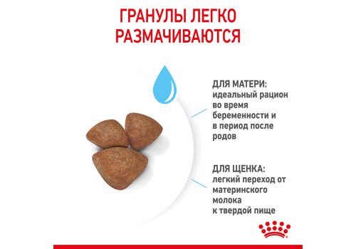 Royal Canin Mini Starter / Сухой корм Роял Канин Мини Стартер для Щенков Мелких пород в возрасте до 2 месяцев