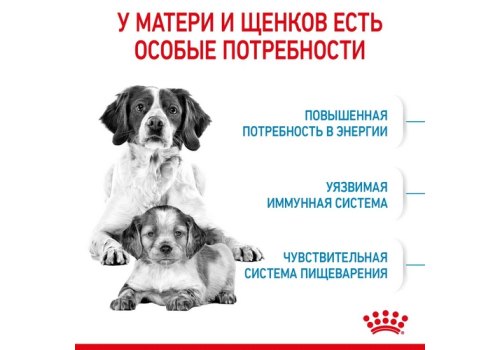 Royal Canin Medium Starter / Сухой корм Роял Канин Медиум Стартер для Щенков Средних пород в возрасте до 2 месяцев