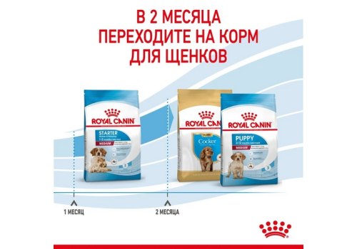 Royal Canin Medium Starter / Сухой корм Роял Канин Медиум Стартер для Щенков Средних пород в возрасте до 2 месяцев