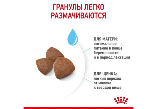Royal Canin Medium Starter / Сухой корм Роял Канин Медиум Стартер для Щенков Средних пород в возрасте до 2 месяцев