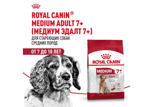 Royal Canin Medium Adult 7+ / Сухой корм Роял Канин Медиум для Пожилых собак Средних пород старше 7 лет