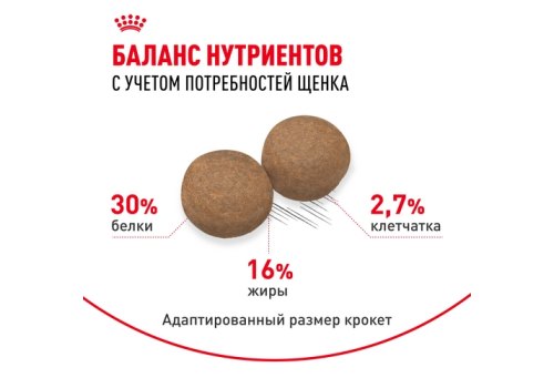 Royal Canin Maxi Puppy / Сухой корм Роял Канин Макси Паппи для Щенков Крупных пород в возрасте от 2 до 15 месяцев