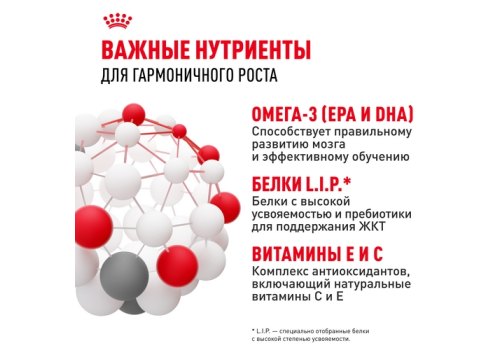 Royal Canin Maxi Puppy / Сухой корм Роял Канин Макси Паппи для Щенков Крупных пород в возрасте от 2 до 15 месяцев