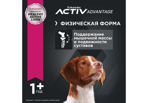 Eukanuba Adult Medium Breed / Сухой корм Эукануба для взрослых собак Средних пород с Курицей