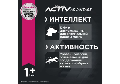 Eukanuba Adult Medium Breed / Сухой корм Эукануба для взрослых собак Средних пород с Курицей