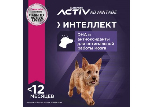 Eukanuba Puppy Small Breed / Сухой корм Эукануба для Щенков Мелких пород с Курицей