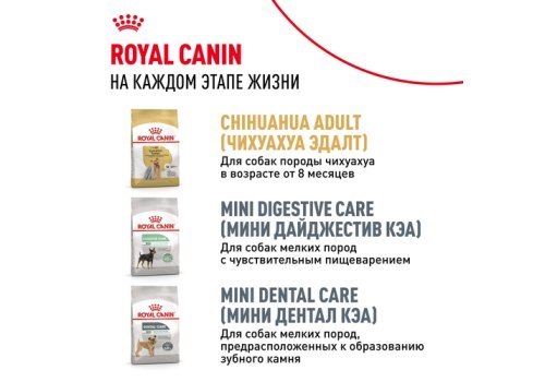 Royal Canin Breed dog Chihuahua Junior / Сухой корм Роял Канин для Щенков породы Чихуахуа в возрасте до 8 месяцев
