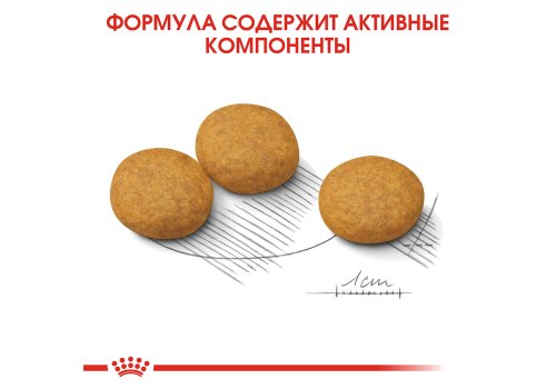 Royal Canin Medium Dermacomfort / Сухой корм Роял Канин Медиум Дермакомфорт для собак Средних пород с Кожным раздражением и зудом