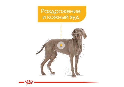 Royal Canin Maxi Dermacomfort / Сухой корм Роял Канин Макси Дермакомфорт для собак Крупных пород с Кожным раздражением и зудом