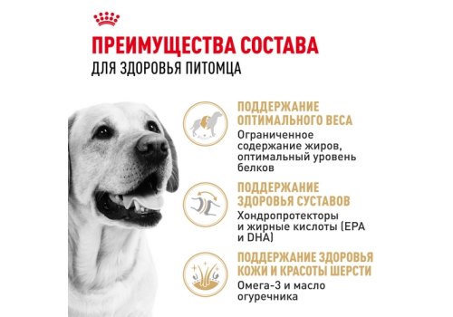 Royal Canin Breed dog Labrador Retriever Adult / Сухой корм Роял Канин для взрослых собак породы Лабрадор старше 15 месяцев