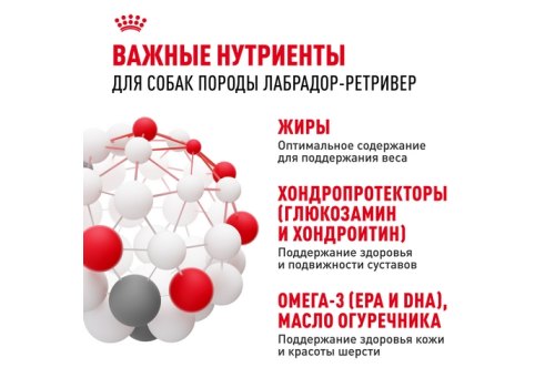 Royal Canin Breed dog Labrador Retriever Adult / Сухой корм Роял Канин для взрослых собак породы Лабрадор старше 15 месяцев
