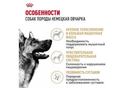 Royal Canin Breed dog German Shepherd Adult / Сухой корм Роял Канин для взрослых собак породы Немецкая Овчарка старше 15 месяцев