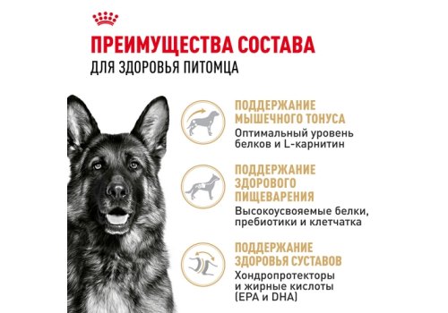 Royal Canin Breed dog German Shepherd Adult / Сухой корм Роял Канин для взрослых собак породы Немецкая Овчарка старше 15 месяцев