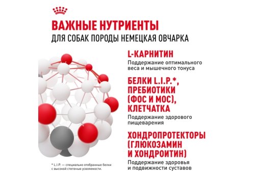 Royal Canin Breed dog German Shepherd Adult / Сухой корм Роял Канин для взрослых собак породы Немецкая Овчарка старше 15 месяцев