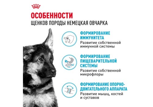 Royal Canin Breed dog German Shepherd Puppy / Сухой корм Роял Канин для Щенков породы Немецкая Овчарка в возрасте до 15 месяцев