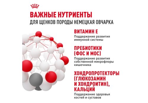 Royal Canin Breed dog German Shepherd Puppy / Сухой корм Роял Канин для Щенков породы Немецкая Овчарка в возрасте до 15 месяцев