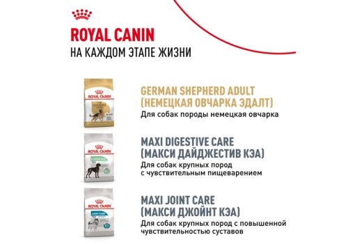 Royal Canin Breed dog German Shepherd Puppy / Сухой корм Роял Канин для Щенков породы Немецкая Овчарка в возрасте до 15 месяцев
