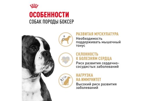 Royal Canin Breed dog Boxer Adult / Сухой корм Роял Канин для взрослых собак породы Боксер старше 15 месяцев