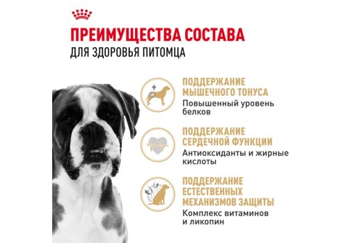 Royal Canin Breed dog Boxer Adult / Сухой корм Роял Канин для взрослых собак породы Боксер старше 15 месяцев