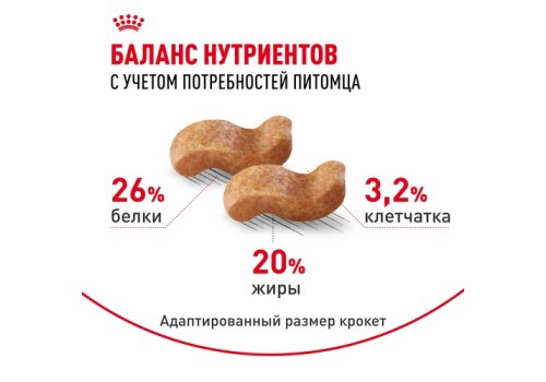 Royal Canin Breed dog Boxer Adult / Сухой корм Роял Канин для взрослых собак породы Боксер старше 15 месяцев