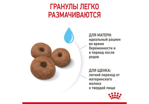 Royal Canin Giant Starter / Сухой корм Роял Канин Джайнт Стартер для Щенков Гигантских пород в возрасте до 2 месяцев