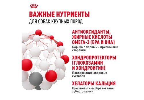 Royal Canin Maxi Adult 5+ / Сухой корм Роял Канин Макси Эдалт 5+ для взрослых собак Крупных пород в возрасте от 5 до 8 лет