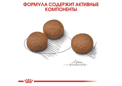 Royal Canin Medium Digestive Care / Сухой корм Роял Канин Медиум Дайджестив Кэа для собак Средних пород с Чувствительным пищеварением