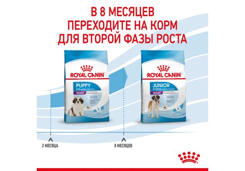 Royal Canin Giant Puppy / Сухой корм Роял Канин Джайнт Паппи для Щенков Гигантских пород в возрасте от 2 до 8 месяцев