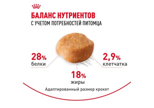 Royal Canin Breed dog Yorkshire Terrier Adult / Сухой корм Роял Канин для взрослых собак породы Йоркширский Терьер старше 10 месяцев