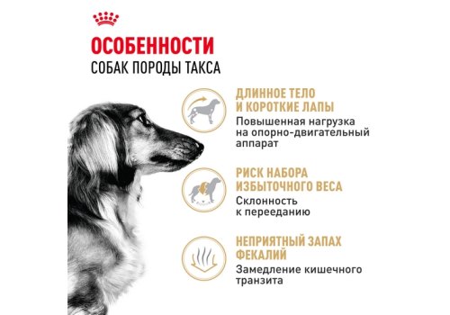 Royal Canin Breed dog Dachshund Adult / Сухой корм Роял Канин для взрослых собак породы Такса старше 10 месяцев