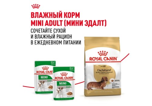 Royal Canin Breed dog Dachshund Adult / Сухой корм Роял Канин для взрослых собак породы Такса старше 10 месяцев