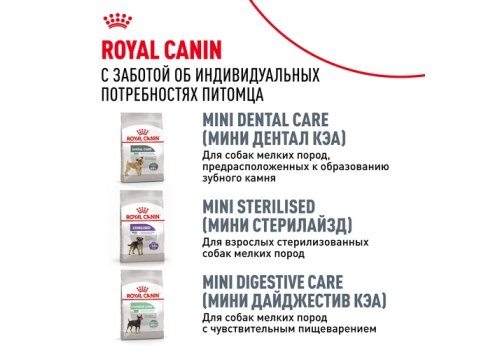 Royal Canin Breed dog Dachshund Adult / Сухой корм Роял Канин для взрослых собак породы Такса старше 10 месяцев