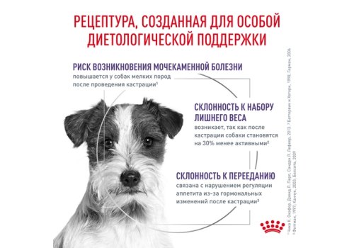 Royal Canin Neutered Adult Small Dog / Сухой корм Роял Канин для Кастрированных или Стерилизованных собак Мелких пород