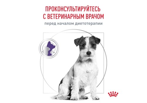 Royal Canin Neutered Adult Small Dog / Сухой корм Роял Канин для Кастрированных или Стерилизованных собак Мелких пород