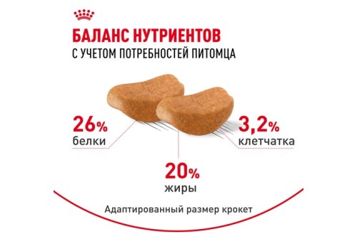 Royal Canin Breed dog Rottweiler Adult / Сухой корм Роял Канин для взрослых собак породы Ротвейлер старше 18 месяцев