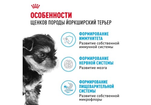 Royal Canin Breed dog Yorkshire Terrier Puppy / Сухой корм Роял Канин для Щенков породы Йоркширский Терьер в возрасте от 2 до 10 месяцев