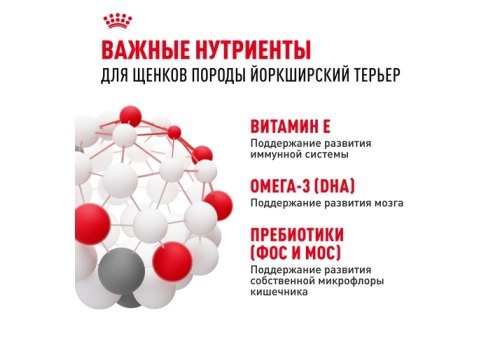 Royal Canin Breed dog Yorkshire Terrier Puppy / Сухой корм Роял Канин для Щенков породы Йоркширский Терьер в возрасте от 2 до 10 месяцев
