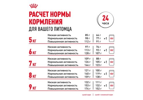 Royal Canin Breed dog Pug Adult / Сухой корм Роял Канин для взрослых собак породы Мопс старше 10 месяцев