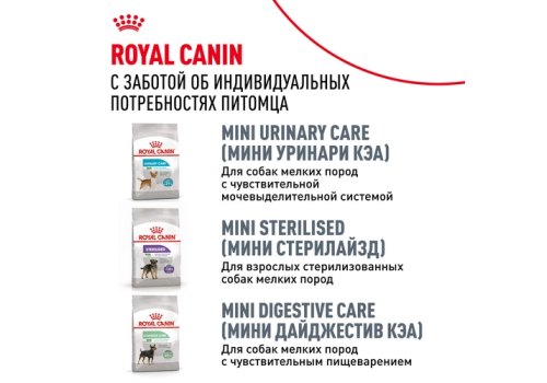 Royal Canin Breed dog Pug Adult / Сухой корм Роял Канин для взрослых собак породы Мопс старше 10 месяцев