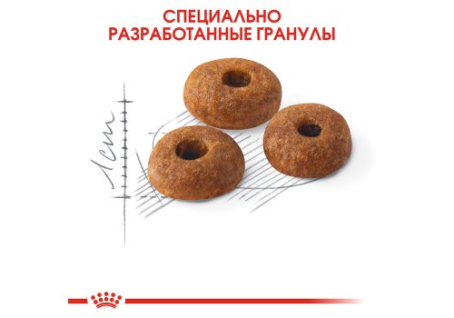 Royal Canin Fit / Сухой корм Роял Канин Фит для Взрослых кошек в возрасте от 1 года до 7 лет