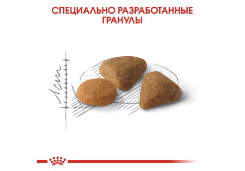 Royal Canin Exigent Savoir Sensation / Сухой корм Роял Канин Эксиджент для кошек Привередливых к вкусу