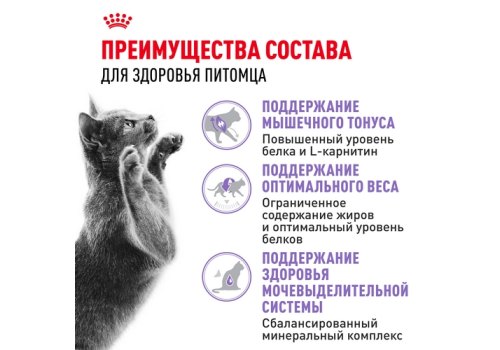 Royal Canin Sterilised / Сухой корм Роял Канин Стерилайзд для взрослых Кастрированных котов и Стерилизованных кошек в возрасте от 1 года до 7 лет
